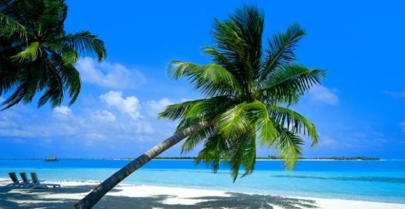 caraibes-plage-antilles-tourisme